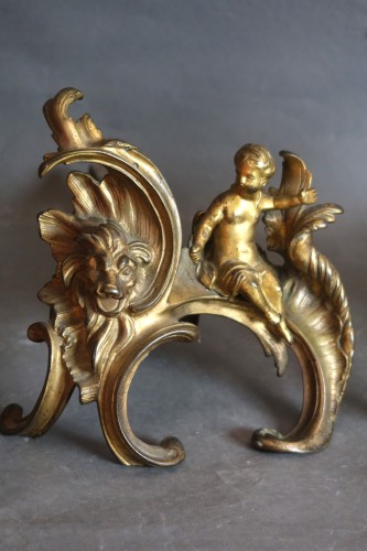 Objet de décoration  - Chenets en bronze doré époque XVIIIe siècle