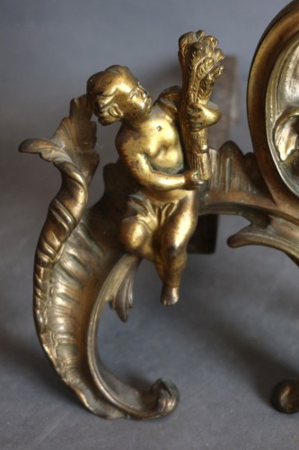 XVIIIe siècle - Chenets en bronze doré époque XVIIIe siècle
