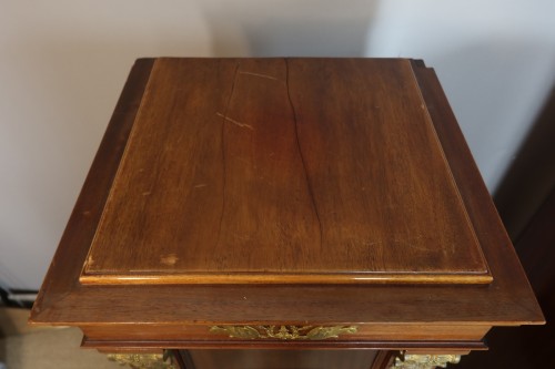 XIXe siècle - Paire de grandes sellettes à portes époque Napoléon III