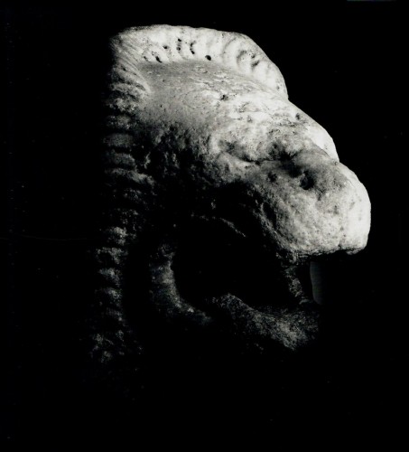 Gargouille en forme de tête de lion, art grec, 6e-5e siècle av. J.-C. - Plektron Fine Arts