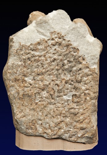 Fragment de sarcophage, art romain, 2e siècle après J.-C. - Archéologie Style 