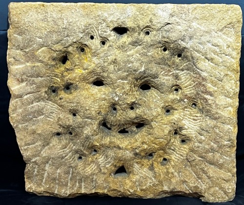 Stone bas-relief with a faun, Vincenz, 16th century - Sculpture Style Renaissance