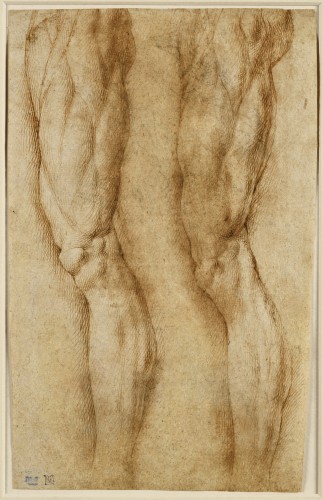 Bartolomeo Passarotti (1529-1592) - étude De Deux Jambes