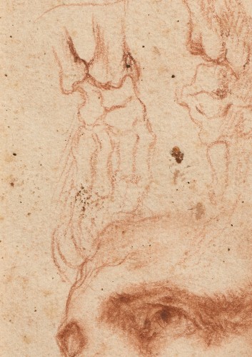 Tableaux et dessins Dessin, Aquarelle & Pastel - École italienne fin du XVIe siècle - Tête d’homme et études d’écorchés (bras)