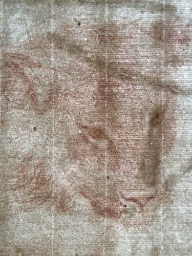 Etude de félin - Entourage de Annibale CARRACCI (1560-1609) - Poncelin de Raucourt Fine Arts