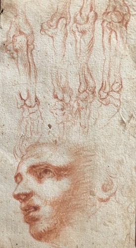 Italian School, 16th century - Study of head and écorché studies of arms