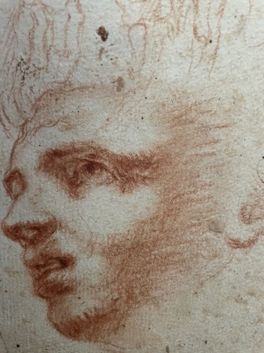 Italian School, 16th century - Study of head and écorché studies of arms - Paintings & Drawings Style Renaissance