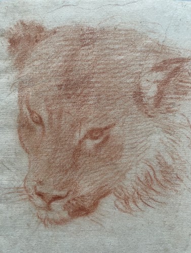 Étude de Felin - École Italienne du début du XVIIe siècle - Tableaux et dessins Style Renaissance