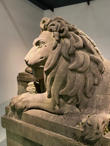 Antiquités - Eceptionnelle paire de lions monumentaux en Pierre bleue, Belgique 19e siècle
