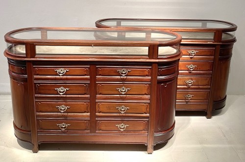 Pair of Mahogany Art Nouveau display counters with Glass Vitrines - Furniture Style Art nouveau