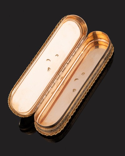 Charles Le Bastier - Oblong Snuffbox In Colored Gold  - Objects of Vertu Style Louis XVI