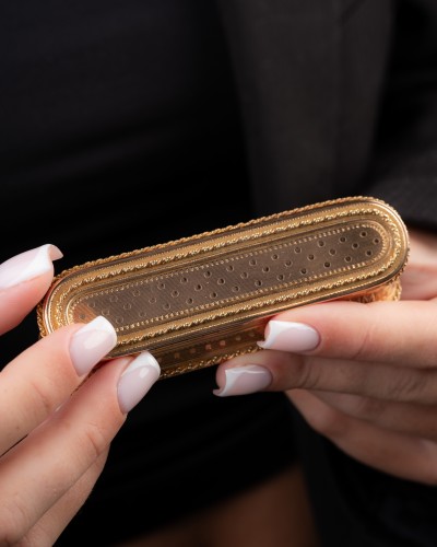 Charles Le Bastier - Oblong Snuffbox In Colored Gold  - Louis XVI