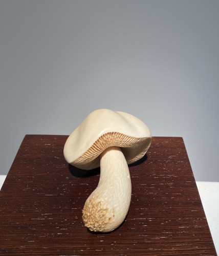 Mushroom, Siberia, 20th century - Curiosities Style 