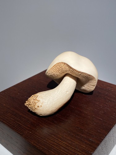 Objets de Curiosité  - Champignon sculpté en défense de mammouth, Sibérie XXe siècle