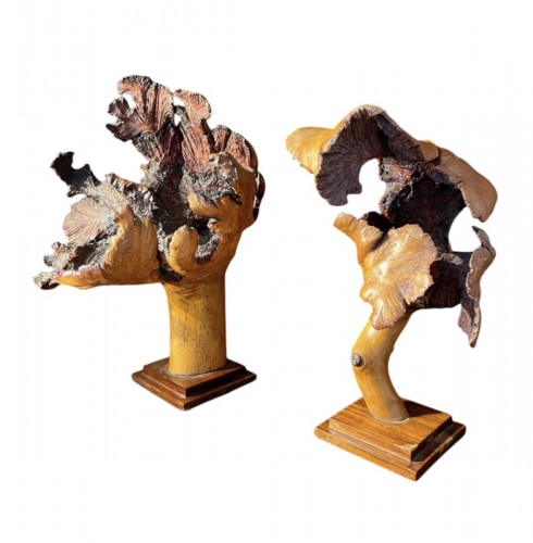 Deux formations en bois de loupe