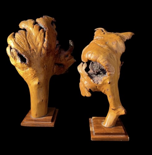 Objets de Curiosité  - Deux formations en bois de loupe