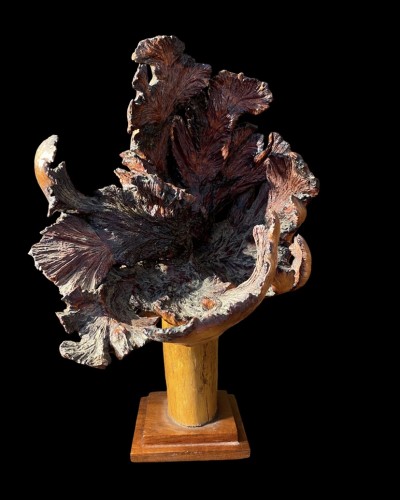 XIXe siècle - Deux formations en bois de loupe