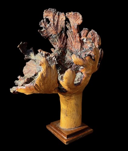 Deux formations en bois de loupe - 