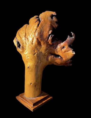  - Deux formations en bois de loupe