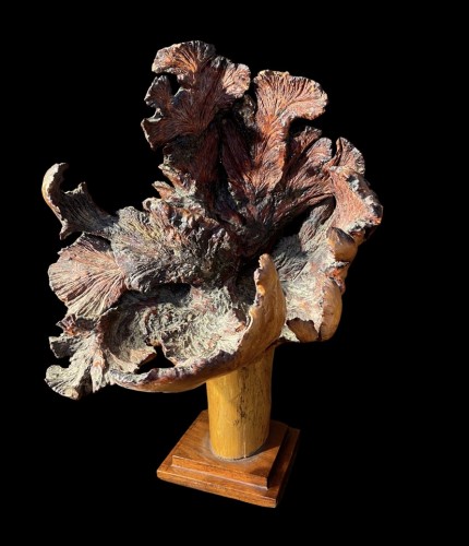 Antiquités - Deux formations en bois de loupe