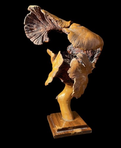 Antiquités - Deux formations en bois de loupe