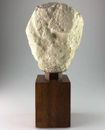 Middle age - Head of a Lion, France 15th century