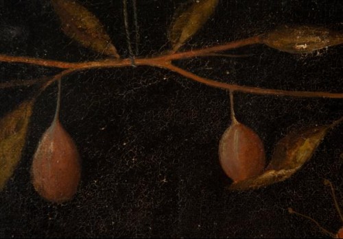 Antiquités - Nature Morte