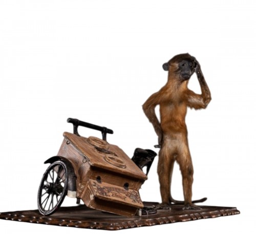 Un mangabey à ventre doré naturalisé avec un tricycle à glaces en panne