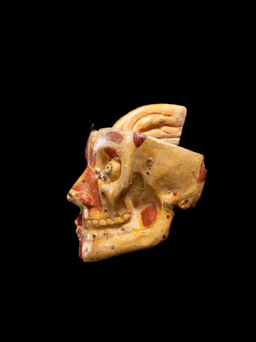 Curiosities  - Anatomical cut of a human skull composed in natural painted papier-maché