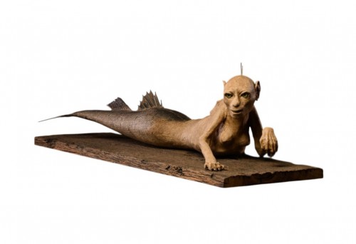 Sirène Fidji, fraîchement capturée à Atlantis