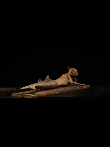 Sirène Fidji, fraîchement capturée à Atlantis - 