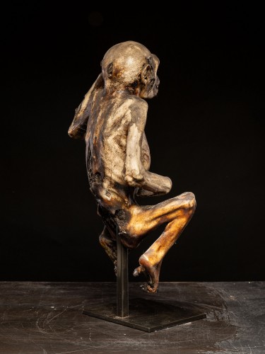 Singe momifié cérémoniel - Objets de Curiosité Style 