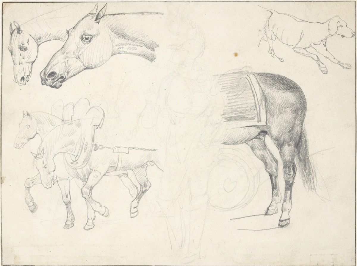 Feuille d'étude de chevaux double face par Théodore Géricault (1791-1924) -  XIXe siècle - N.106501