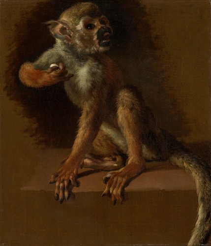 Antiquités - Etude de dix chiens et d'une étole, un panneau attribué à Jan Weenix