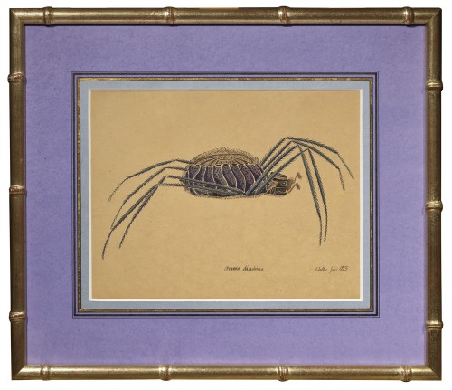 Aranea diadima, une aquarelle de Walter Spies (Moscou 1895 – Océan Indien 1942 ) - Tableaux et dessins Style Art Déco