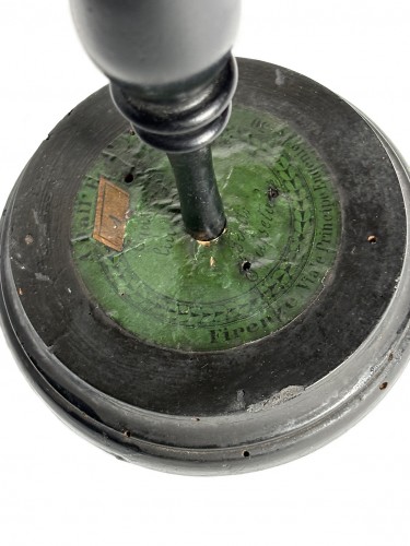 XIXe siècle - Modèle botanique Equissetum limosum L. (prêle). Robert Brendel, Breslau vers 1880