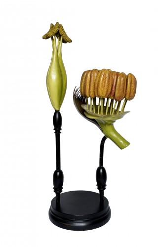 Botanical model Populus nigra. L.  R. Brendel  Berlin, late 19th/early 20th