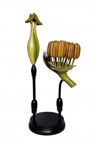 Botanical model Populus nigra. L.  R. Brendel  Berlin, late 19th/early 20th - Curiosities Style 