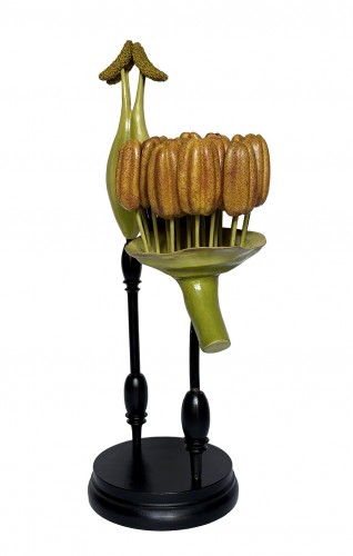 Curiosities  - Botanical model Populus nigra. L.  R. Brendel  Berlin, late 19th/early 20th