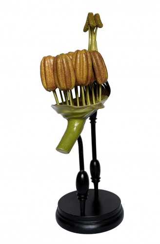 Botanical model Populus nigra. L.  R. Brendel  Berlin, late 19th/early 20th - 