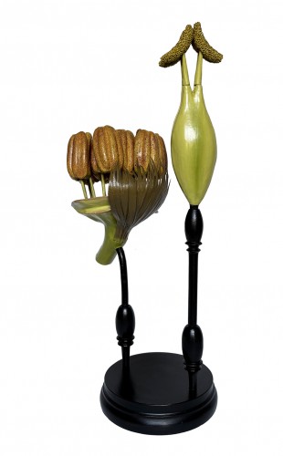 19th century - Botanical model Populus nigra. L.  R. Brendel  Berlin, late 19th/early 20th