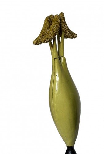 Antiquités - Botanical model Populus nigra. L.  R. Brendel  Berlin, late 19th/early 20th