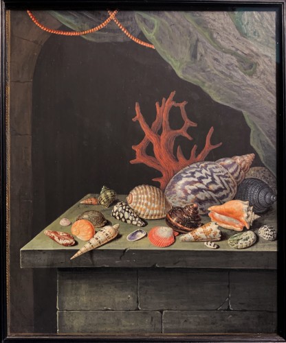 A shell and coral still-life - Elisabeth Christina Matthes (1749-1808) - Paintings & Drawings Style 