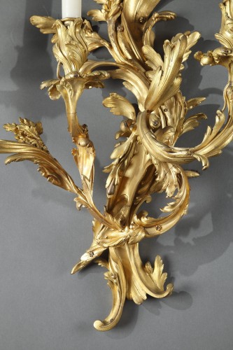 19th century -  Pair of Rocaille Style Gilded Bronze Wall-Lights, France Circa 1880