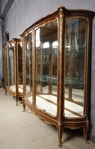 Antiquités - J.-E. Zwiener &amp; L. Messagé, pair of Vitrines, France circa 1885