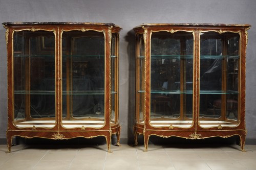 Antiquités - J.-E. Zwiener &amp; L. Messagé, pair of Vitrines, France circa 1885