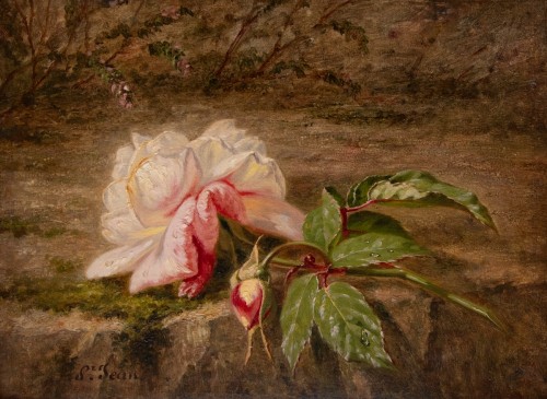 Simon SAINT-JEAN (1808–1860), A Forgotten Rose
