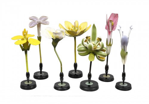 A collection of flower-models by Robert Brendel