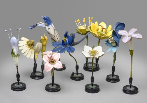 A collection of flower-models by Robert Brendel - Curiosities Style Napoléon III