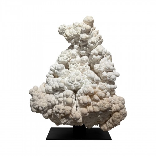 Grand spécimen d'Aragonite